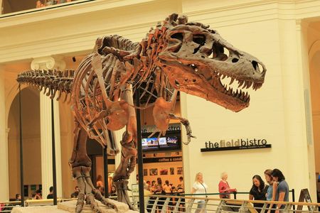 Field Museum of Natural History tickets and audio tour