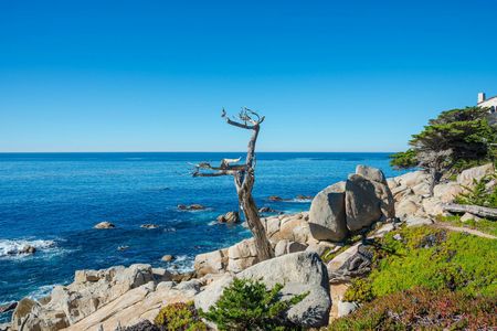 Scenic 17-Mile self-guided driving tour in Monterey
