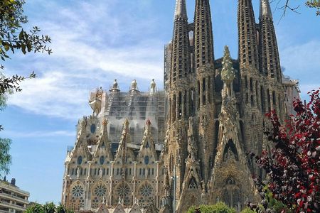 Sagrada Familia fast track ticket guided tour with tower access