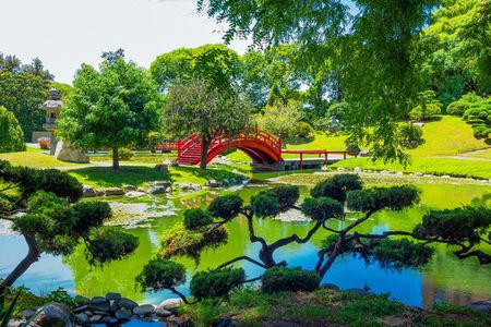 Private tour of Palermo, the Japanese and Botanical Gardens