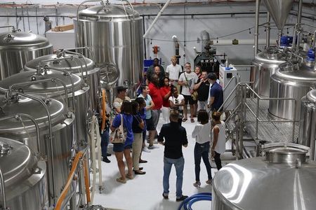 Half-Day Ultimate Brewery Beer Tour in Sint Maarten