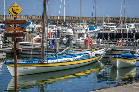 Guided tour to discover the heritage of the Azorean whalers