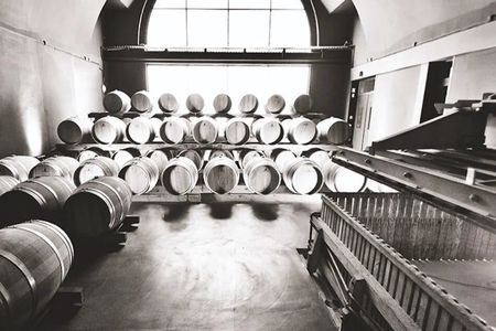 Historical and artistic visit of the cellars of the Canard Duchêne House