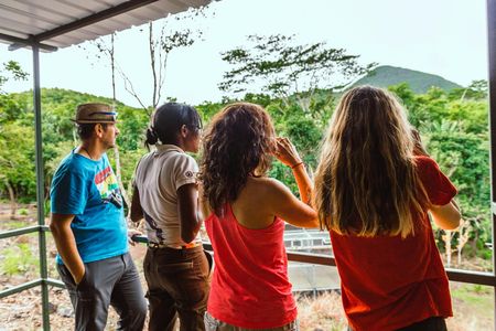 Mauritius Ebony Forest and bird watching tour