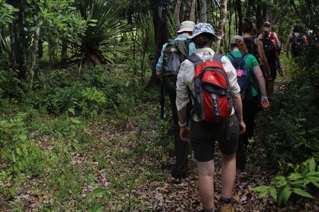 Mauritius Ebony Forest and hiking tour