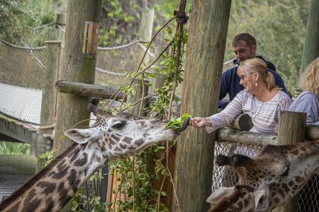 Admission to Brevard Zoo in Melbourne