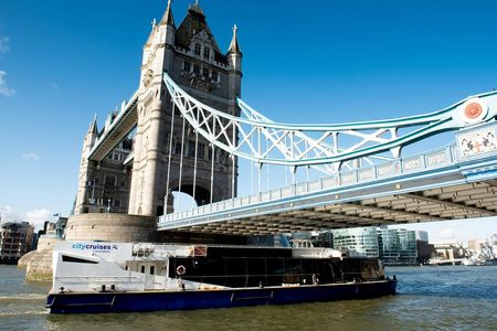 London 24 Hour River Pass tickets