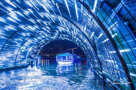 Amsterdam Light Festival canal cruise on a luxury boat