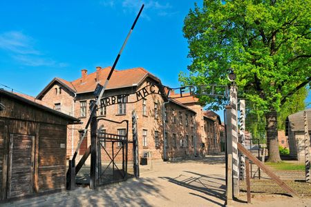 Auschwitz-Birkenau guided tour plus lunch and pickup from Krakow