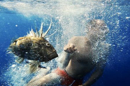 Fishing experience and brunch on Brac and Solta island from Split