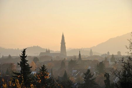 Instagrammable spots of Freiburg walking tour with a Local