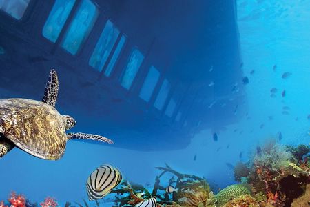 Hurghada mermaid glass-bottom boat tour