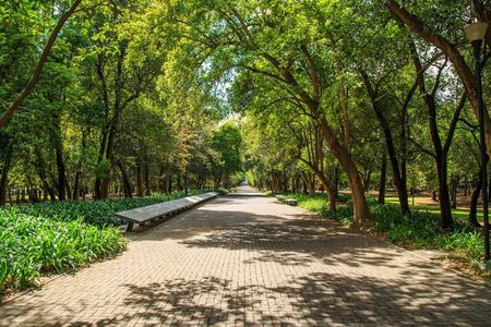 Bike tour of Chapultepec park