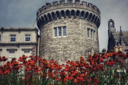 Exclusive private guided tour through the history of Dublin with a local
