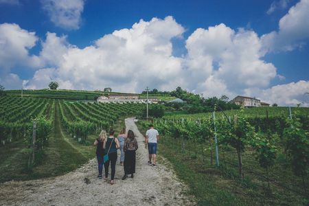 Prosecco wine tour from Venice