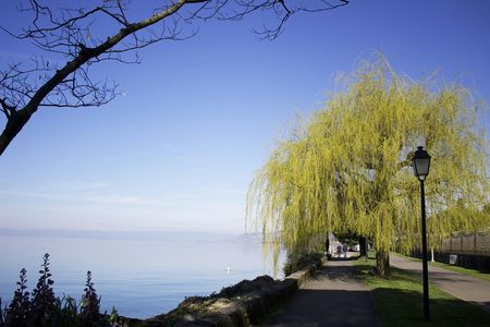 Tour of the instagrammable spots of Montreux with a local