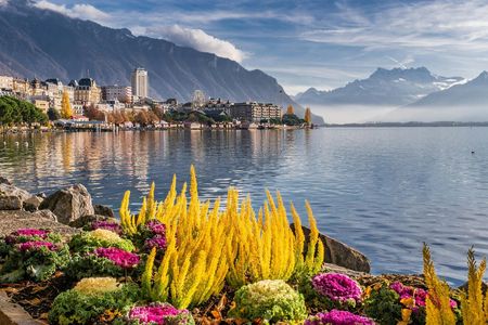 Montreux's most photogenic spots walking tour with a local