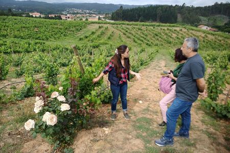 Dão full-day tour from Coimbra with wine tasting and lunch