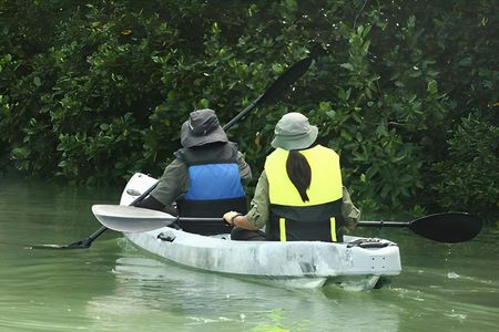 Lebam river kayaking adventure