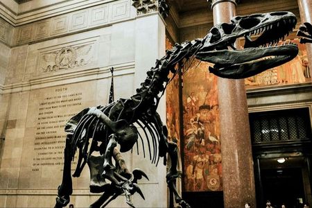 New York American Museum of Natural History and In App Audio Tour
