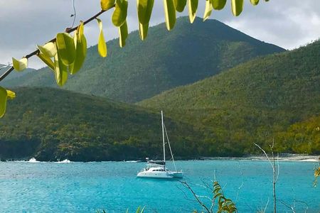 Day sailing in Piñeros Island with BBQ lunch
