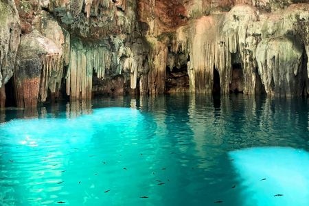 Tsukan Cenote Entrance Ticket with Lunch