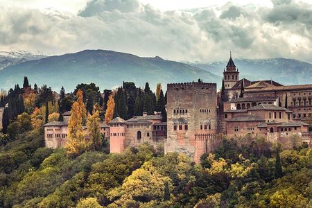 Alhambra and Nasrid Palaces tour from Malaga