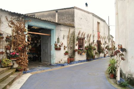 Guided tour to San Sperate from Cagliari