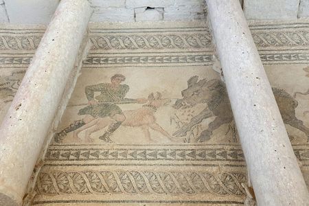 Guided tour of the Roman Villa of Salar from Granada