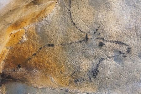 El Castillo caves and Paleolithic art day trip from Santander