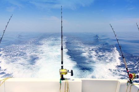 Half-Day Fishing Boat Experience From Puerto Colon Tenerife
