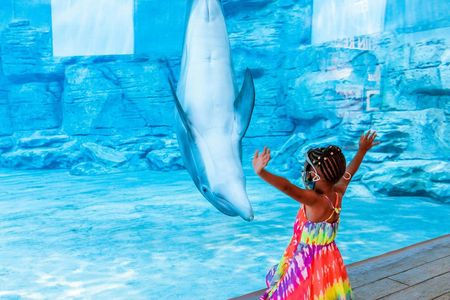 Clearwater Beach with lunch, transportation and aquarium
