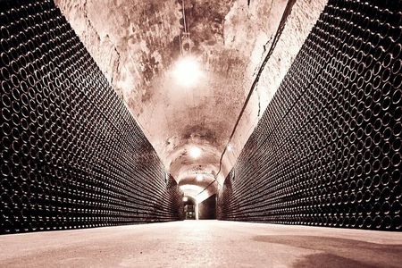 Prestige guided tour of the cellars of the Canard Duchêne House