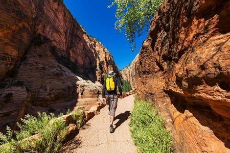 Zion National Park self-driving audio tour
