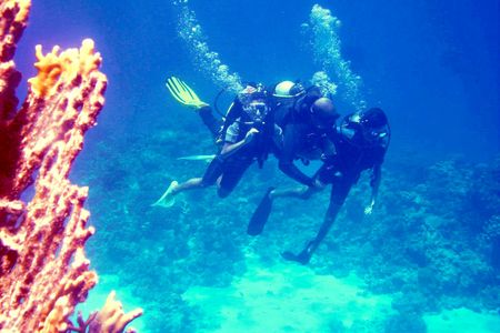 Diving experiences and packages from Dahab
