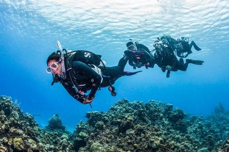 Full day scuba diving for beginners with BBQ lunch in Fujairah