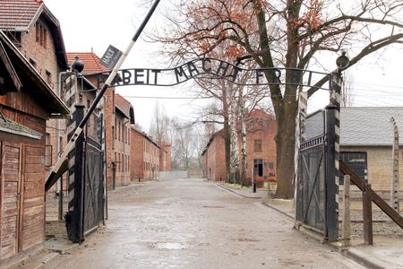 Auschwitz-Birkenau Memorial and Wieliczka Salt Mine full-day tour