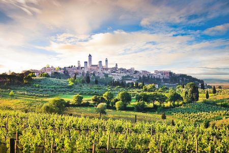 Jewels of Tuscany tour with lunch and wine tasting