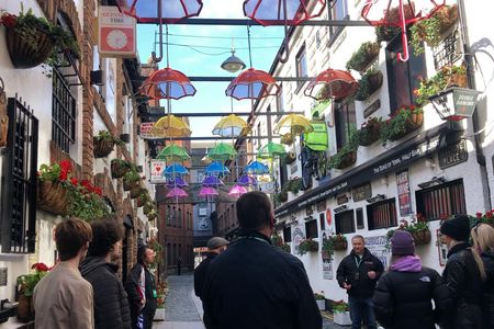 Best of Belfast walking tour with local guide