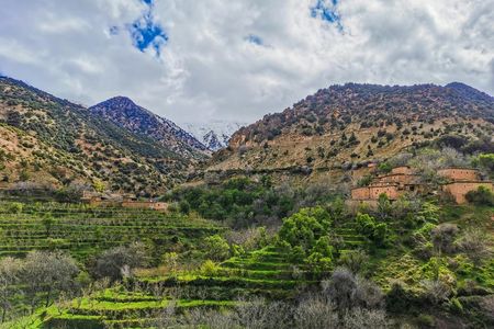 Atlas mountains and Agafay desert day trip from Marrakesh