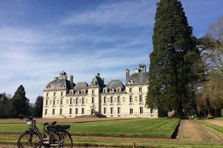 Loire Valley e-bike tour with Chateau de Cheverny and wine tasting
