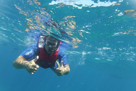 Snorkeling tour in the Bay of Stingrays