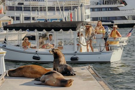Electric boat sunset cruise