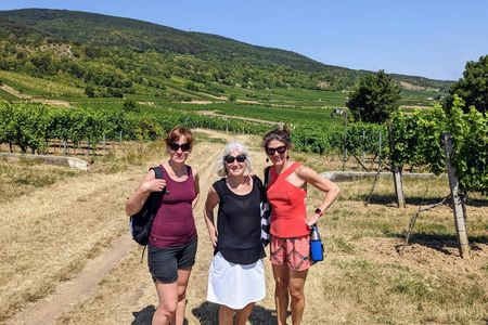 Private Vienna woods wine tour