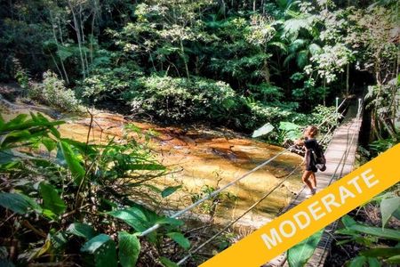 Private guided moderate hike of adventure and history at Tijuca Forest