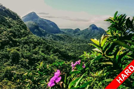 Private guided high level hiking in the Tijuca forest