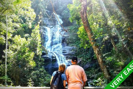 Private Tijuca Forest & Penhasco Dois Irmãos full-day eco tour