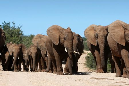 TUI Tours Excursion Package: The world in a beautiful country