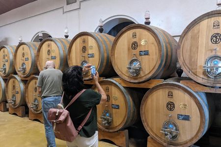 Valpolicella experience, wine and lunch guided tour from Lake Garda