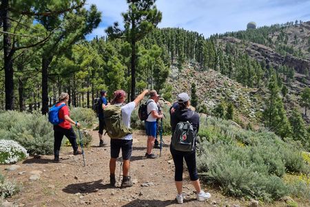 Peaks of Gran Canaria: full-day hiking with pickup and lunch